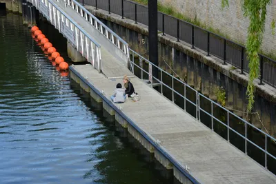 DSC_2687 (Large).JPG